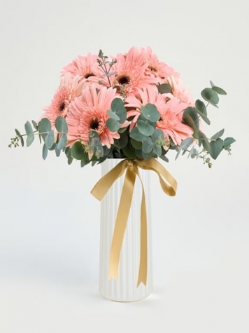 vazoda gerbera