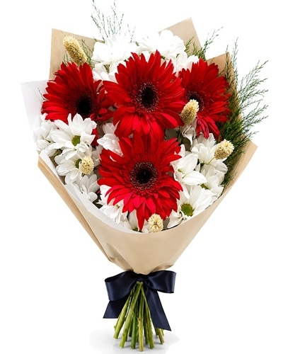 papatya ve gerbera