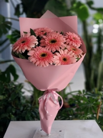 GERBERA
