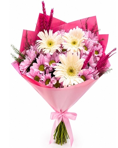 papatya ve gerbera 